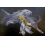 Userbild von Patten